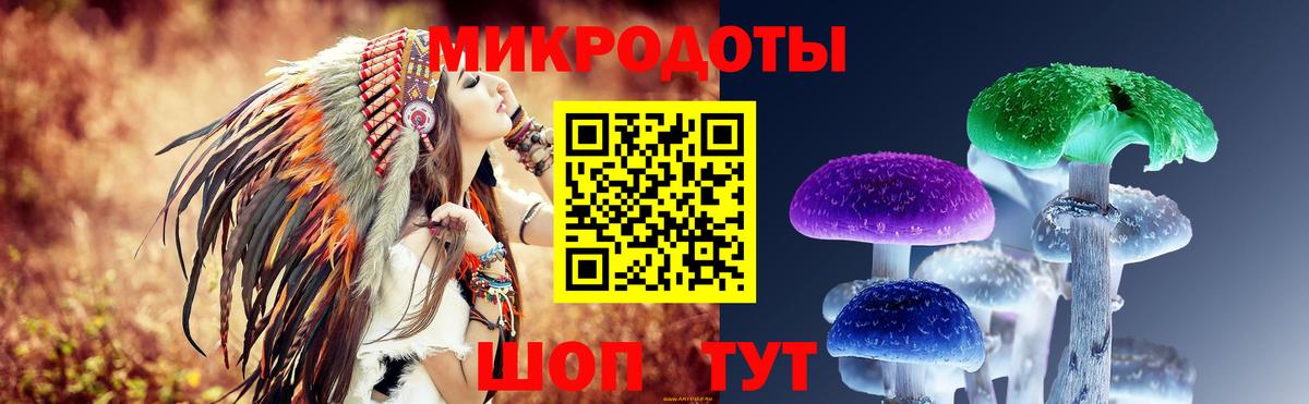 Псилоцибиновые грибы прущие грибы Заводоуковск